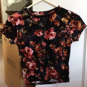 Urban Outfitters Black Floral Velvet Cropped Top